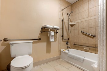 Standard Room, 1 King Bed, Accessible, Non Smoking (Bathtub)