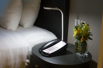 Junior Suite, 1 Queen Bed