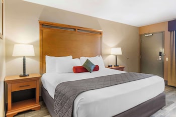 Standard Room, 1 King Bed, Accessible, Bathtub