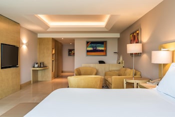Executive Suite, 1 King Bed