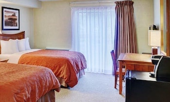 Standard Room, 2 Double Beds