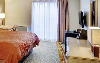 Standard Single Room, 1 King Bed