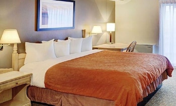 King Room with Sofa Bed