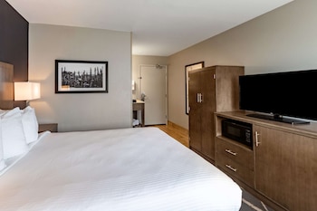 Standard Room, 1 Queen Bed, Non Smoking, Refrigerator & Microwave (Small Room)