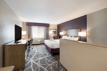 Standard Room, 1 King Bed, Non Smoking, Jetted Tub