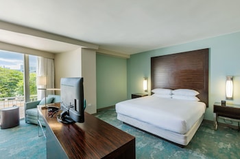 Junior Suite, 1 King Bed with Sofa bed, Mobility Accessible, Balcony (Roll-in Shower)