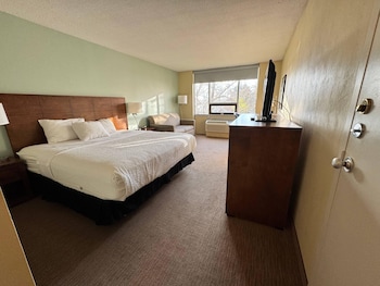 Standard Room, 1 King Bed with Sofa bed, Non Smoking