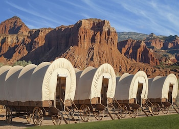 Conestoga Wagon