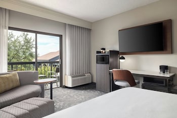 Room, 1 King Bed with Sofa bed