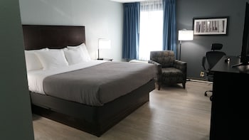 Room, 1 King Bed, Smoking