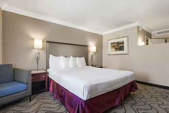 Suite, 1 King Bed, Non Smoking
