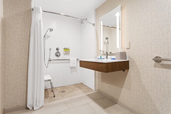 Standard Room, 1 King Bed, Roll-in Shower (Mobility Accessible)