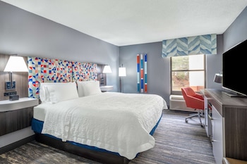 Room, 1 King Bed, Accessible