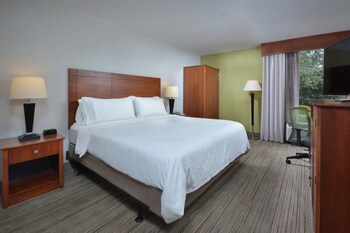 Standard Room, 1 King Bed, Roll-in Shower (Mobility Accessible)