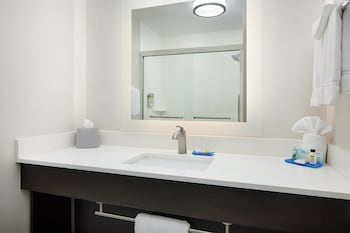 Room, 1 King Bed, Accessible (Hearing Accessible, Roll-in Shower)