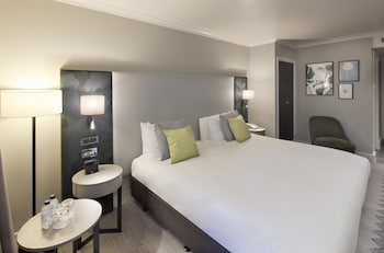 Room, 1 King Bed