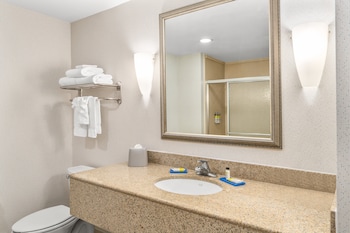 Suite, 1 King Bed with Sofa bed