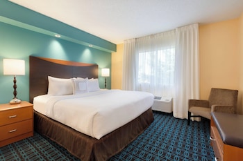 Executive Suite, 1 King Bed with Sofa bed