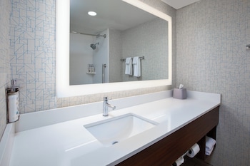 Suite, 1 King Bed