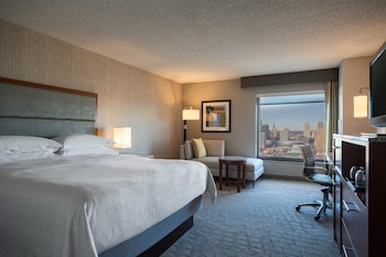 Traditional Room, 1 King Bed (Mobility/Hearing Access, Roll-in Shwr)
