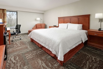 Room, 1 King Bed, Accessible, Microwave (Mobility and Hearing)
