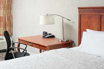 Room, 1 King Bed, Accessible, Microwave (Mobility and Hearing)