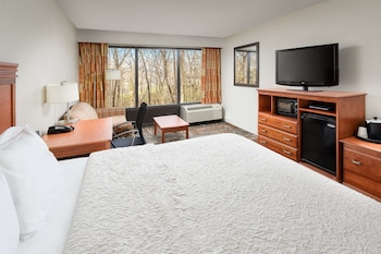 Room, 1 King Bed with Sofa bed, Microwave (Study)