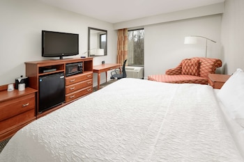 Room, 1 King Bed, Accessible, Microwave (Mobility and Hearing)