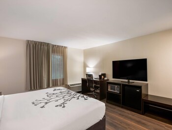 Room, 1 King Bed, Accessible, Non Smoking