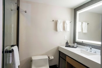 Room, 1 King Bed