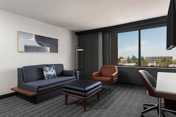 Suite, 1 King Bed with Sofa bed