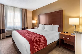 Suite, 1 King Bed, Non Smoking
