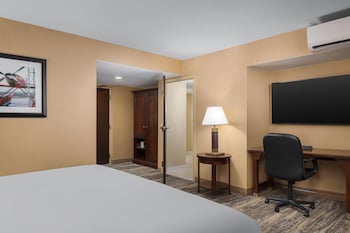 Room, 1 King Bed, Accessible, Non Smoking
