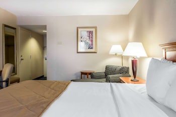 Room, 1 Double Bed, Accessible, Non Smoking