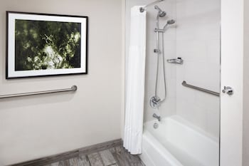 King Bed, Accessible, Bathtub