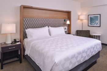Standard Room, 1 King Bed, Accessible (Communications)