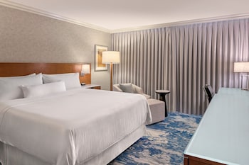 Room, 1 King Bed