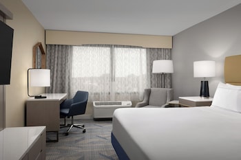 King, Room, Accessible, Bathtub