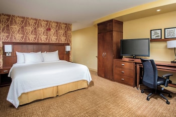 Room, 1 King Bed