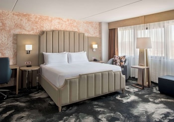 Suite, 1 King Bed
