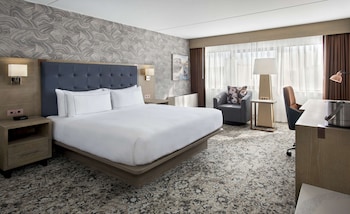 Room, 1 King Bed