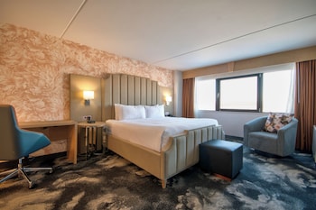 Room, 1 King Bed