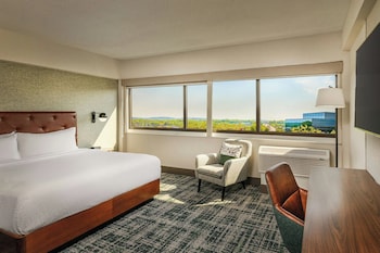 Suite, 1 Bedroom