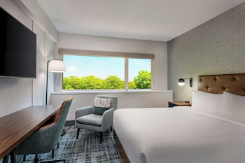 Room, 1 Queen Bed