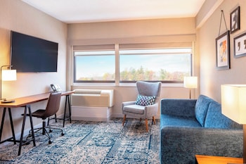 Suite, 1 King Bed with Sofa bed