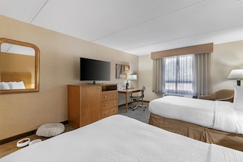 Standard Room, 2 Double Beds, Non Smoking, Refrigerator & Microwave (Pet Friendly)