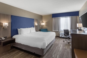 Standard Room, 1 King Bed, Non Smoking, Refrigerator & Microwave