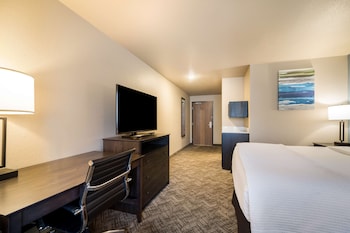 Standard Room, 1 King Bed, Accessible, Bathtub (Pet Friendly)