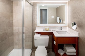 Suite, 1 King Bed