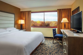 Deluxe Suite, 1 King Bed with Sofa bed, Non Smoking